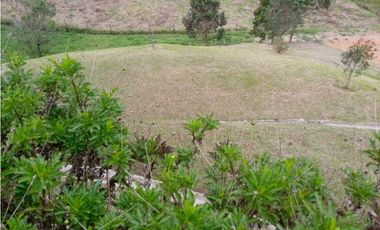 Finca en venta en San Vicente