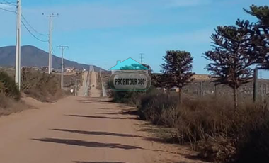 15 PARCELAS DE 5000M2 EN CONDOMINIO CON VISTA AL MAR