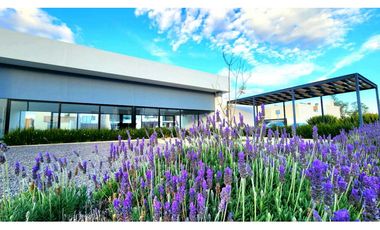 Venta Casa Nueva ZIBA Norte 1 Planta Aguascalientes