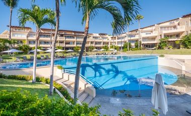 Colibri de Mita, Punta de Mita, Riviera Nayarit