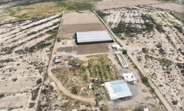 TERRENO EN VENTA EN EJIDO CERRO COLORADO EN PARRAS DE LA FUENTE, COAHUILA.