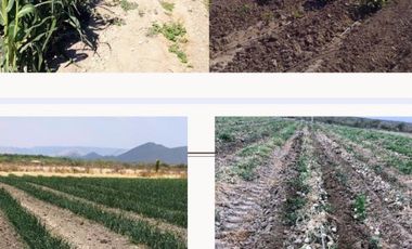 TERRENO EN VENTA EN EJIDO CERRO COLORADO EN PARRAS DE LA FUENTE, COAHUILA.
