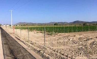 TERRENO EN VENTA EN EJIDO CERRO COLORADO EN PARRAS DE LA FUENTE, COAHUILA.
