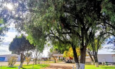 Viñedo en venta de 93 ha en México, gran potencial enoturístico e inversión patrimonial.