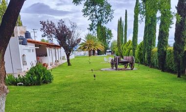 Viñedo en venta de 93 ha en México, gran potencial enoturístico e inversión patrimonial.