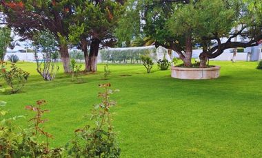 Viñedo en venta de 93 ha en México, gran potencial enoturístico e inversión patrimonial.