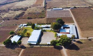 Viñedo en venta de 93 ha en México, gran potencial enoturístico e inversión patrimonial.