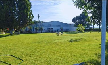 Viñedo en venta de 93 ha en México, gran potencial enoturístico e inversión patrimonial.