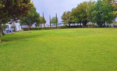 Viñedo en venta de 93 ha en México, gran potencial enoturístico e inversión patrimonial.