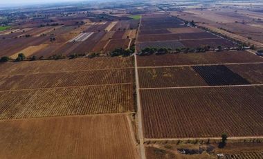 Viñedo en venta de 93 ha en México, gran potencial enoturístico e inversión patrimonial.