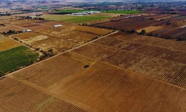 Viñedo en venta de 93 ha en México, gran potencial enoturístico e inversión patrimonial.