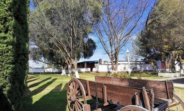 Viñedo en venta de 93 ha en México, gran potencial enoturístico e inversión patrimonial.