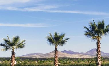 Viñedo en venta de 93 ha en México, gran potencial enoturístico e inversión patrimonial.