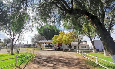 Viñedo en venta de 93 ha en México, gran potencial enoturístico e inversión patrimonial.