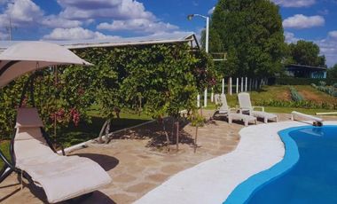 Viñedo en venta de 93 ha en México, gran potencial enoturístico e inversión patrimonial.