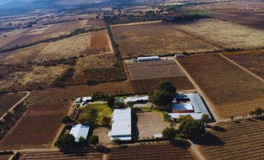 Viñedo en venta de 93 ha en México, gran potencial enoturístico e inversión patrimonial.