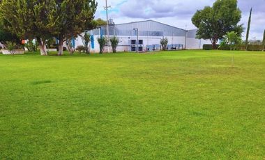 Viñedo en venta de 93 ha en México, gran potencial enoturístico e inversión patrimonial.