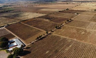 Viñedo en venta de 93 ha en México, gran potencial enoturístico e inversión patrimonial.