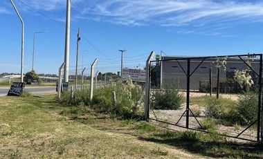 Terreno en  Alquiler AV. La Donosa y Colectora
