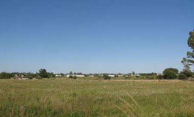 Chacra - Urdinarrain