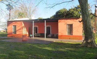 Campo - Alejandro Korn