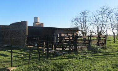 Campo - Alejandro Korn