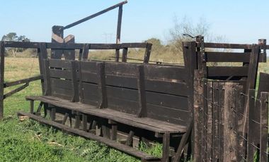 Campo - Alejandro Korn