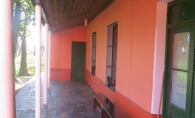 Campo - Alejandro Korn