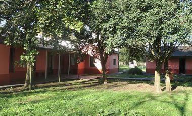 Campo - Alejandro Korn