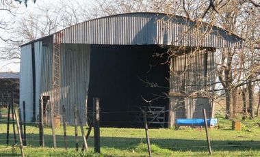 Campo - Alejandro Korn