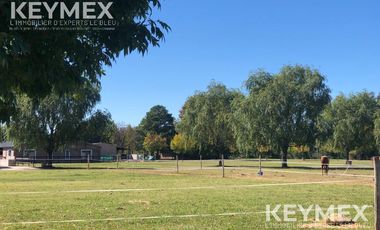 CABALLERIZAS CLUB SAN JORGE CHICO PILAR