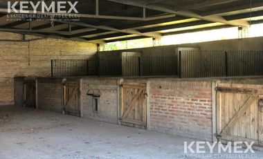 CABALLERIZAS CLUB SAN JORGE CHICO PILAR