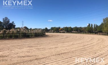 CABALLERIZAS CLUB SAN JORGE CHICO PILAR