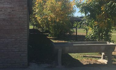 CABALLERIZAS CLUB SAN JORGE CHICO PILAR