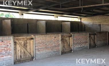 CABALLERIZAS CLUB SAN JORGE CHICO PILAR