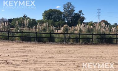 CABALLERIZAS CLUB SAN JORGE CHICO PILAR