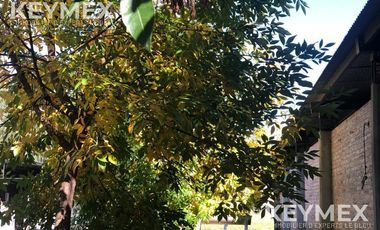 CABALLERIZAS CLUB SAN JORGE CHICO PILAR