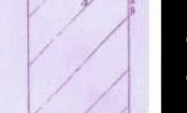 Local - Temperley Oeste