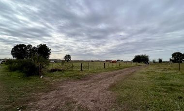 Terreno - San Vicente