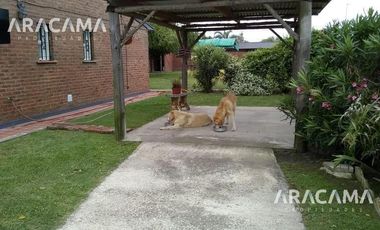 Pampa de Achala 1784 - Carlos Spegazzini