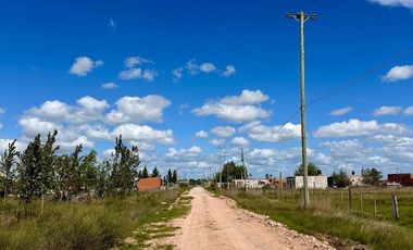 TERRENOS EN VENTA DOMSELAAR