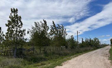 TERRENOS EN VENTA DOMSELAAR