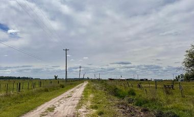 TERRENOS EN VENTA DOMSELAAR