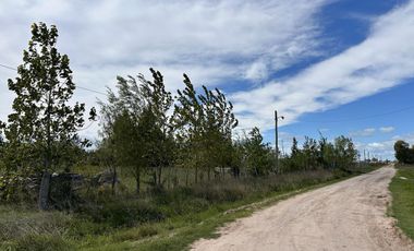 TERRENOS EN VENTA DOMSELAAR