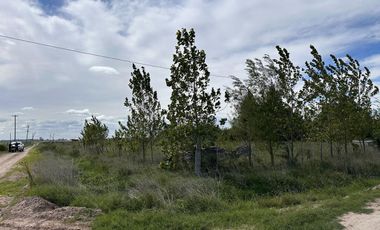 TERRENOS EN VENTA DOMSELAAR