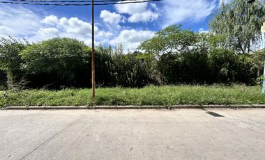 Terreno en  Alejandro Khorn- venta
