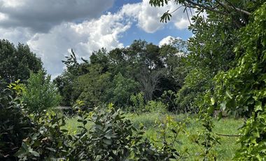 Terreno en  Alejandro Khorn- venta