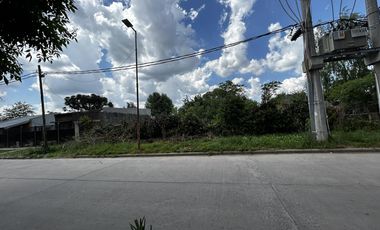 Terreno en  Alejandro Khorn- venta