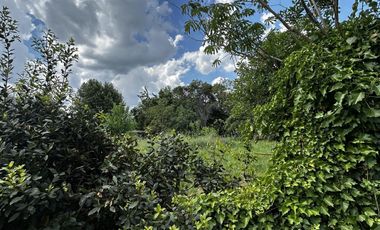 Terreno en  Alejandro Khorn- venta