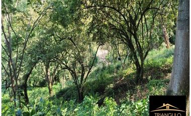 Venta De Lote En Parcelación Abierta Sopetran